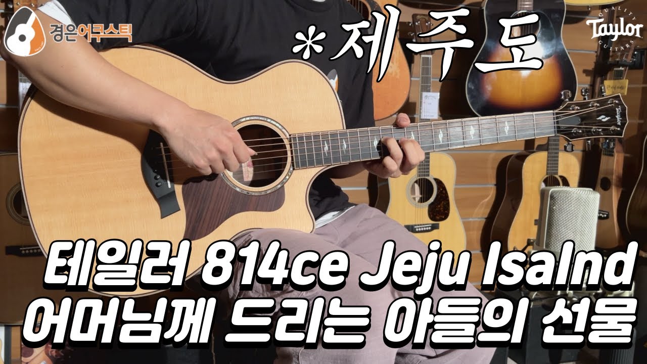 [테일러기타] 테일러 814ce 제주도 기타 리뷰 (Taylor 814ce Jeju Isalnd Guitar Review)