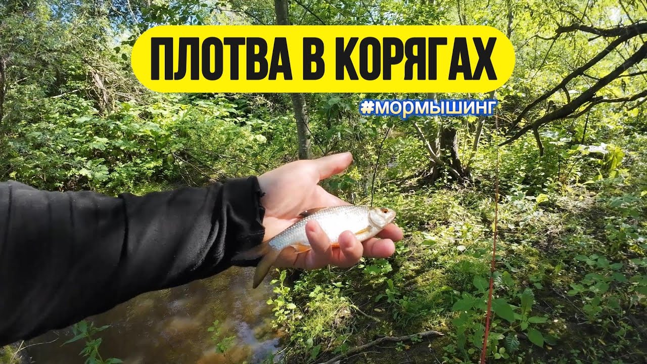 #мормышинг | Плотва в корягах |