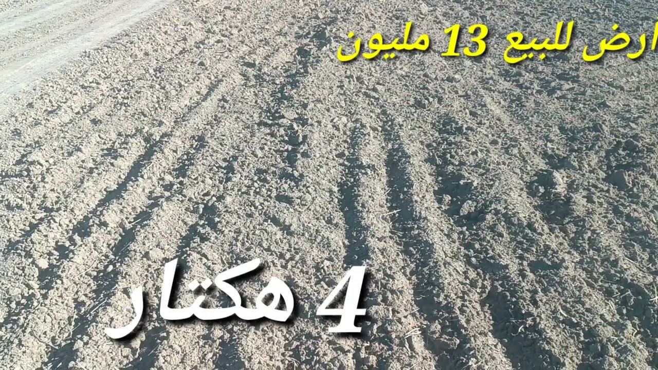 أرض فلاحية للبيع إقليم صفرو 13 مليون 4 هكتار  محافظه همزززا  قريبة طريق صالحة غرس زيتون.  0679444657