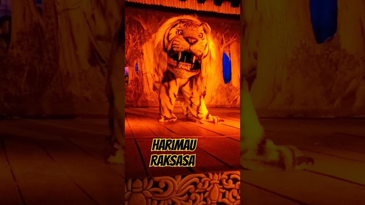 HARIMAU RAKSASA DECOR SAMUDRO BUDOYO #shorts #samudrobudoyo #hewan
