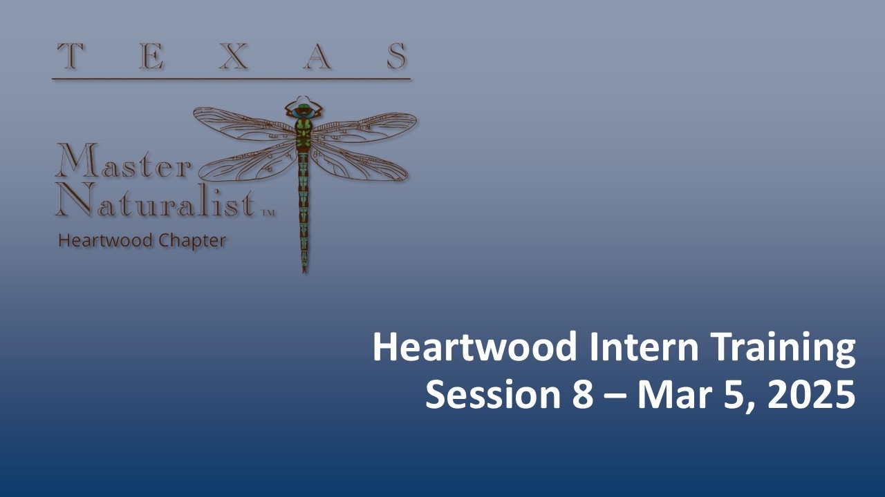 Heartwood Intern Training Session 8 - Mar 5 2026