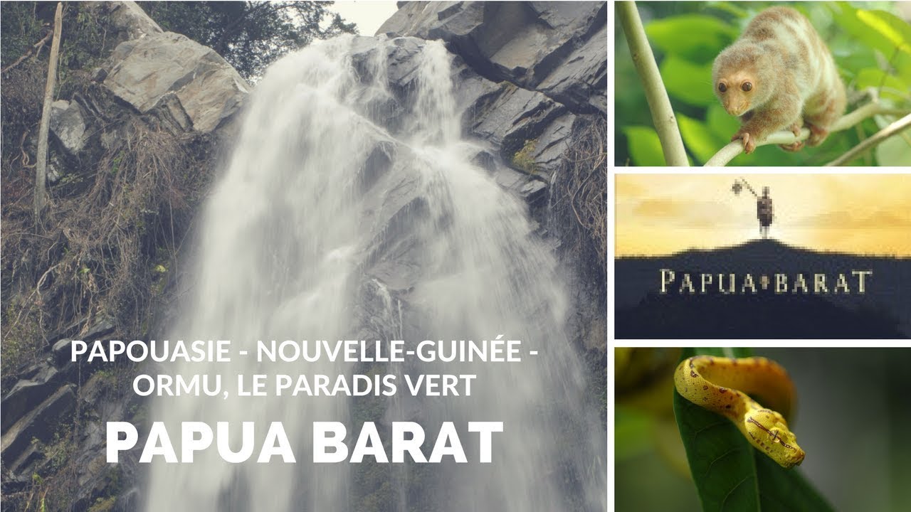 Papouasie - Nouvelle-Guinée - Ormu, le paradis vert - Papua Barat