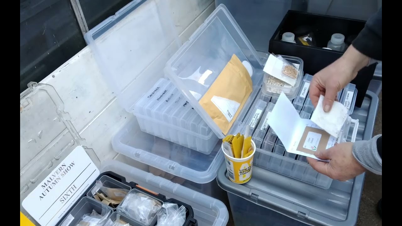 Winter Jobs At Home After Storm Goretti 🌱 Seed Storage Organising & Mouse Protection 🐀