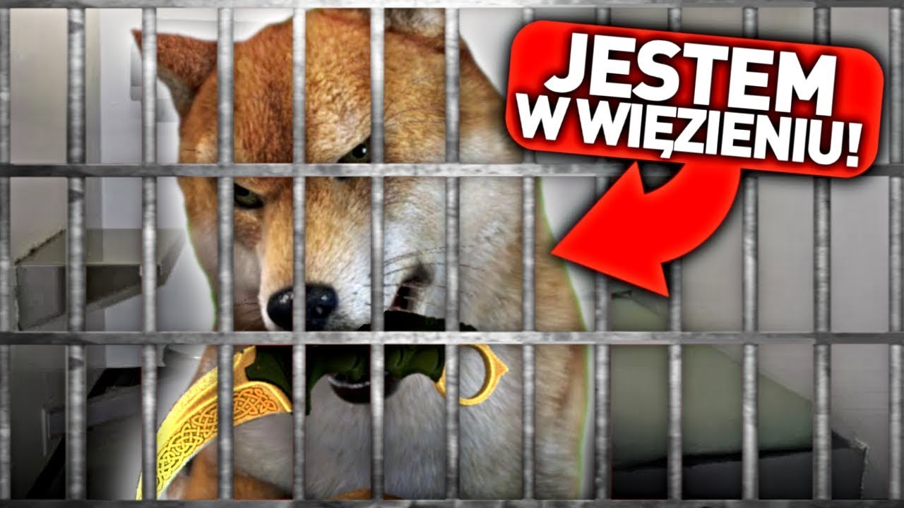 PÓJDĘ DO WIĘZIENIA za KRADZIEŻ SKINÓW CS:GO ! | KiFi