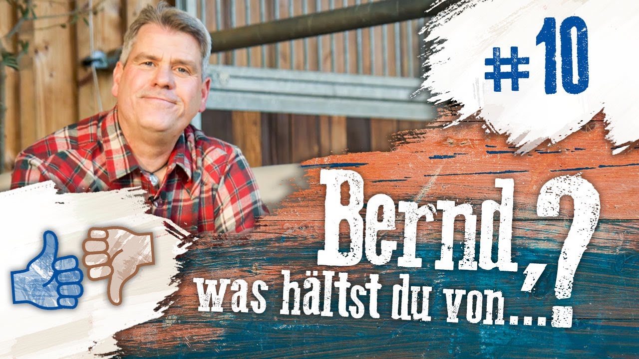 Bernd, was hältst du von...? #10 Panikhaken, Tierschutz und der Pferdemarkt