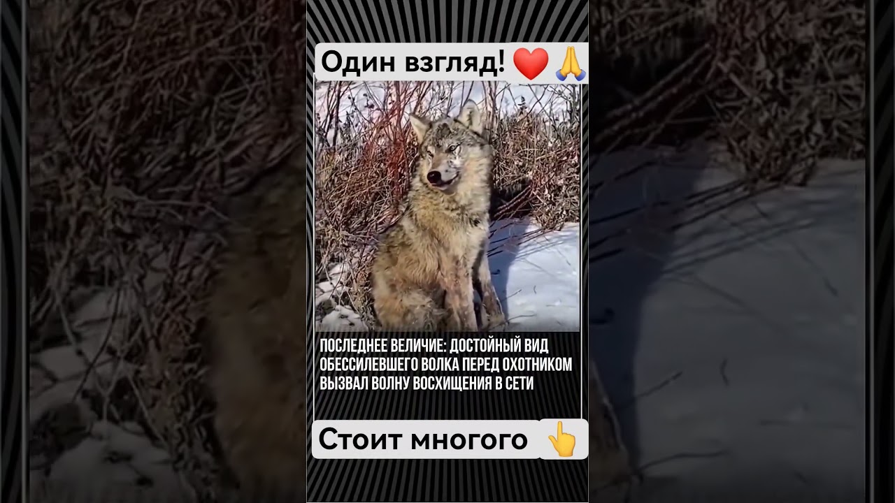 #друзья