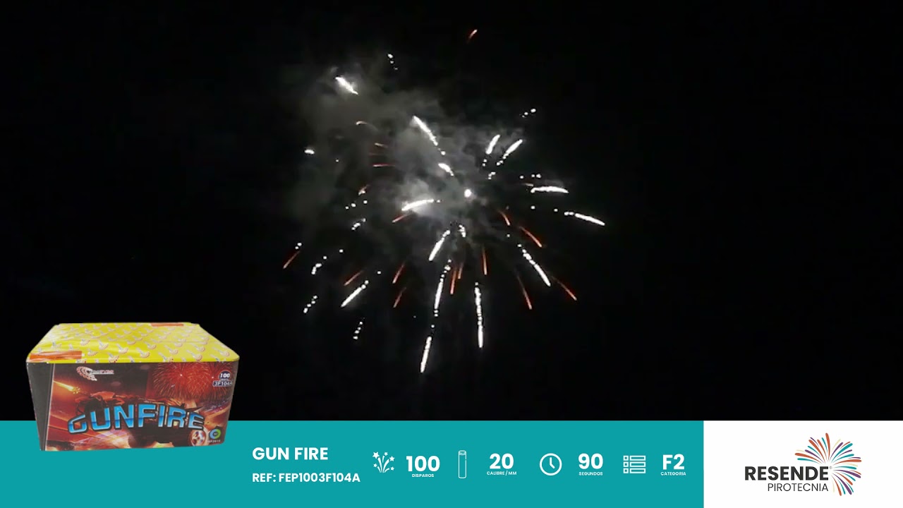 FESTIVAL 100D GUN FIRE