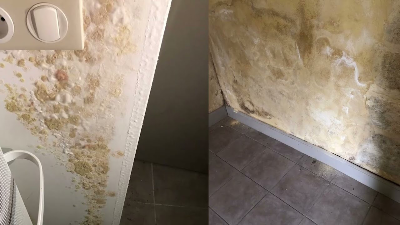 TRAITEMENT HUMIDITE, FORMATION DE SALP&Ecirc;TRE !