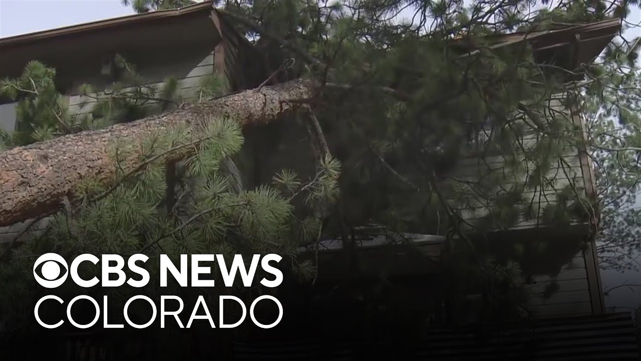 Downed trees, flipped semi-trucks, power outages, a brush fire: Wind wreaks havoc across Colorado