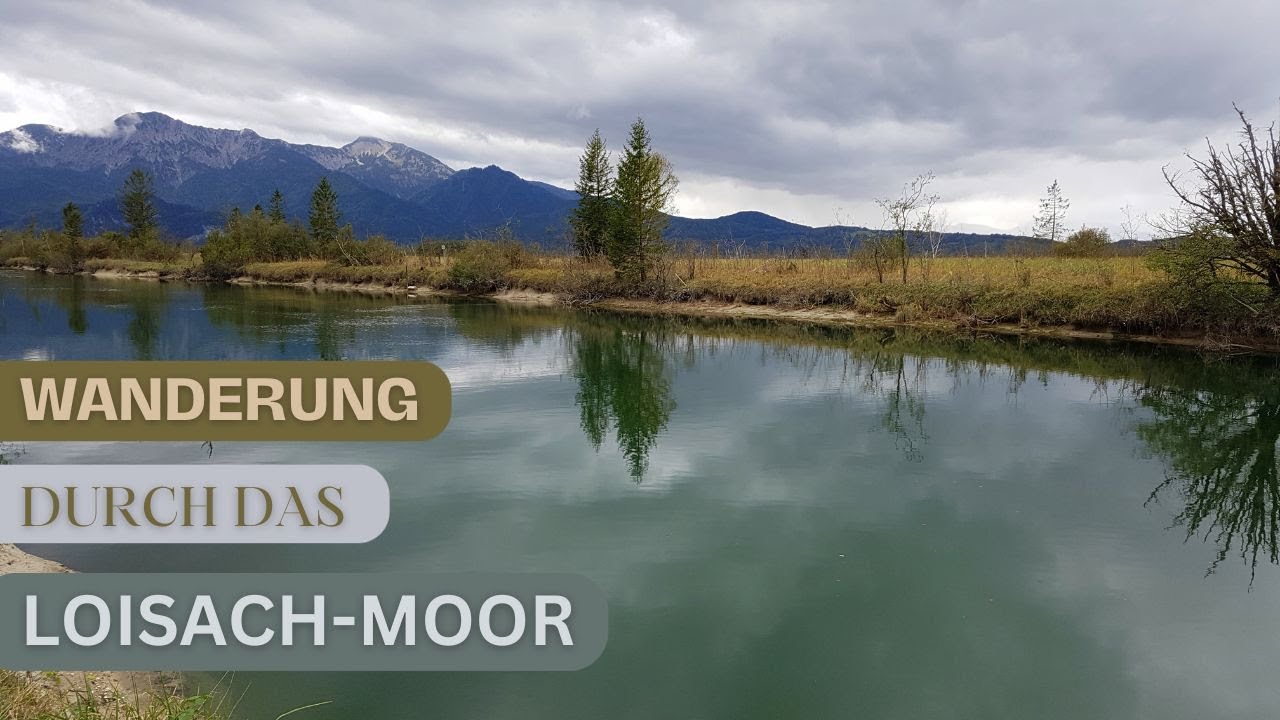 Eine Wanderung durch das Loisach-Kochelsee-Moor