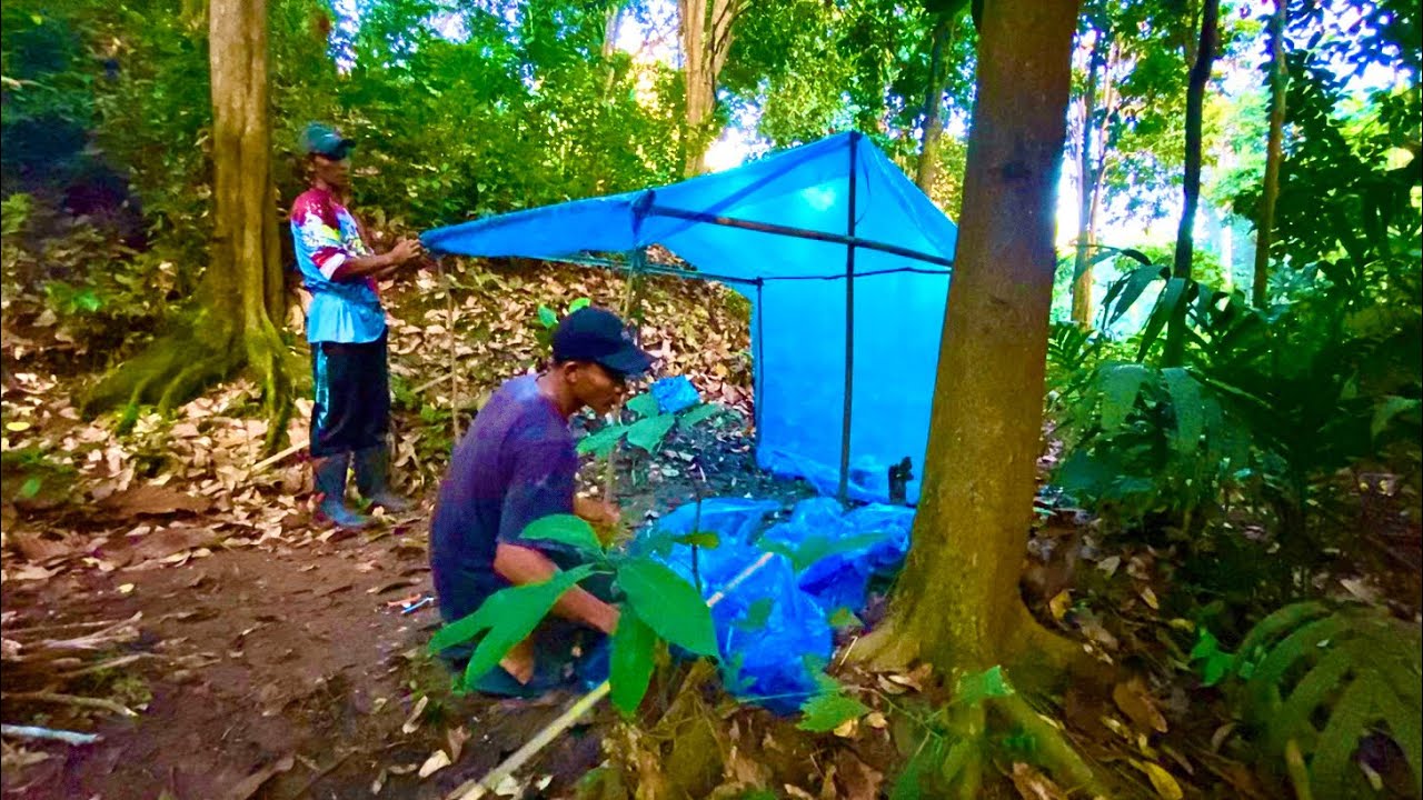 membuat shelter dipinggiran sungai berbatu didalam hutan