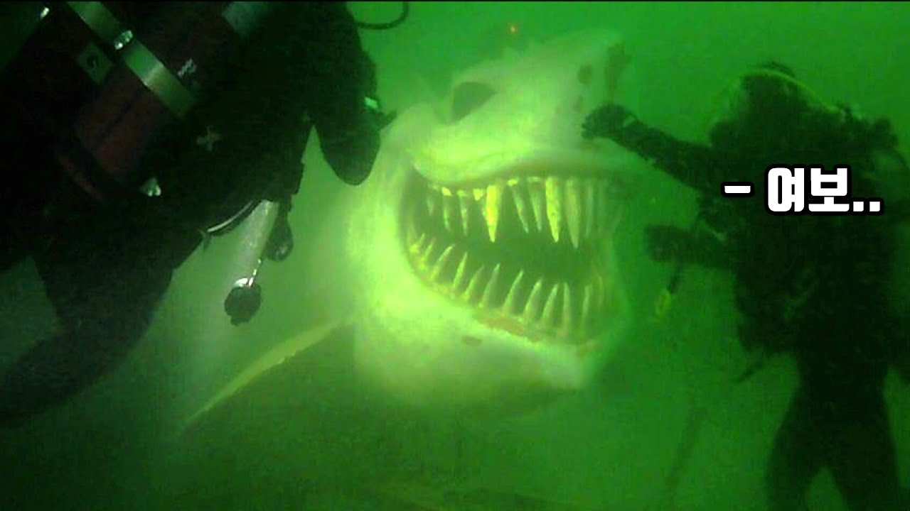 (심해공포증주의) 신혼여행 스쿠버 다이빙중에 세상에서 가장 무서운 심해어를 만나면 생기는 일