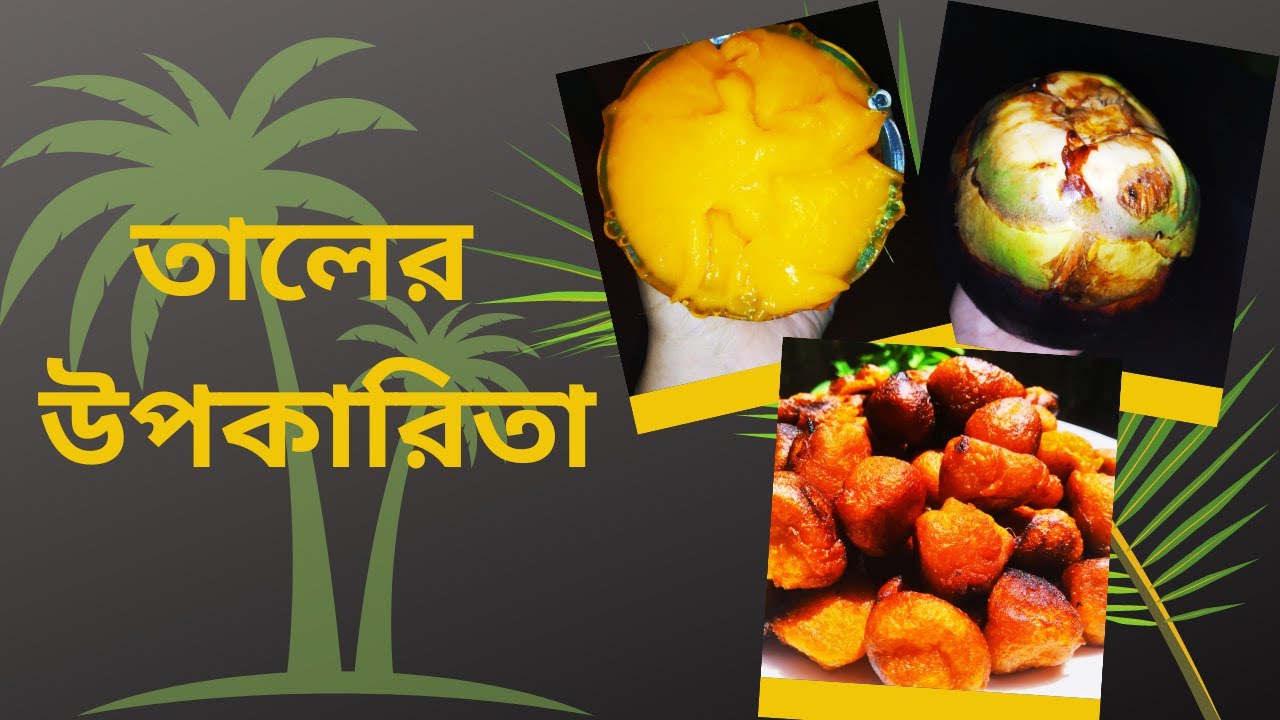 Health Benefits of Asian Palmyrah Palm ||