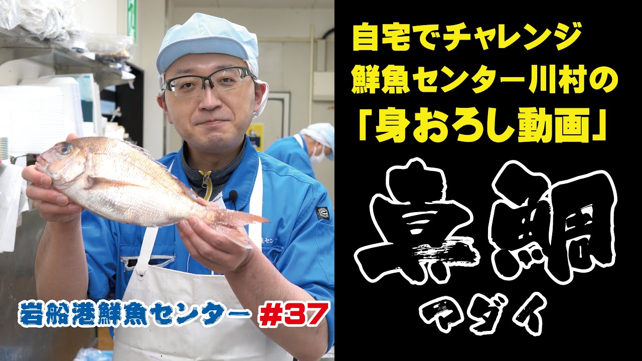 岩船港鮮魚センター#37（真鯛の身おろし）自宅でチャレンジ鮮魚センター川村の「身おろし動画」