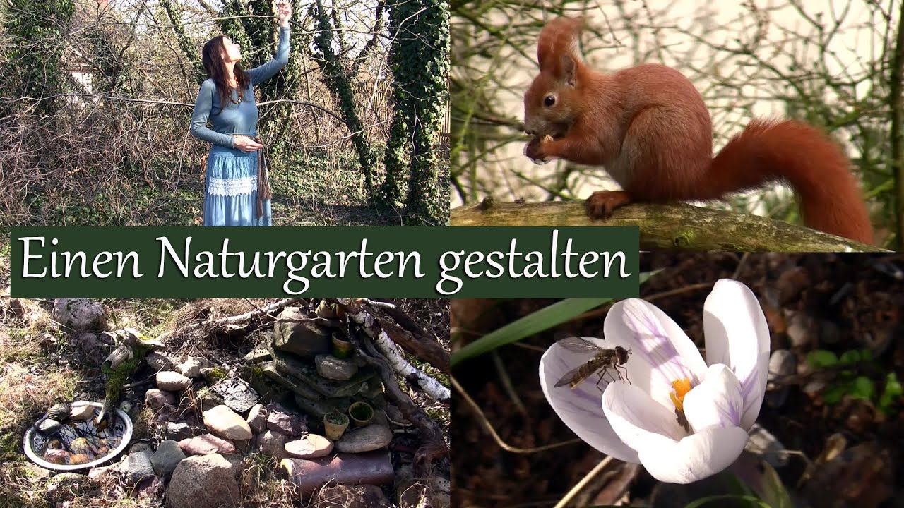 Einen Naturgarten gestalten