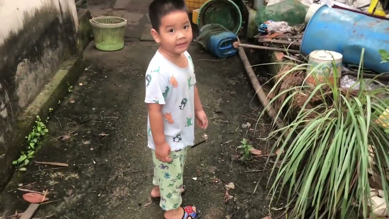 Mời cả nhà cùng xem em bánh bao đi tập thể dục buổi sáng vui tươi