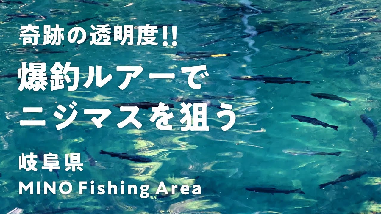美濃フィッシングエリア自然の中でニジマスルアー釣り！常連さん秘伝のルアーやポイントも紹介#ニジマス #管理釣り場#エリアトラウト#釣り堀 #岐阜#美濃フィッシングエリア #渓流#自然