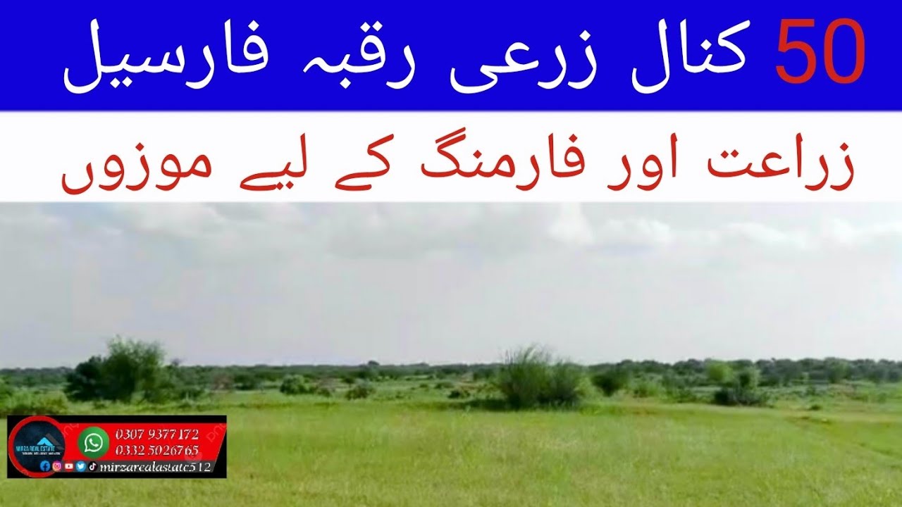 50 KANAL AGRICULTURE LAND FOR SALE IN DISTRICT CHAKWAL.