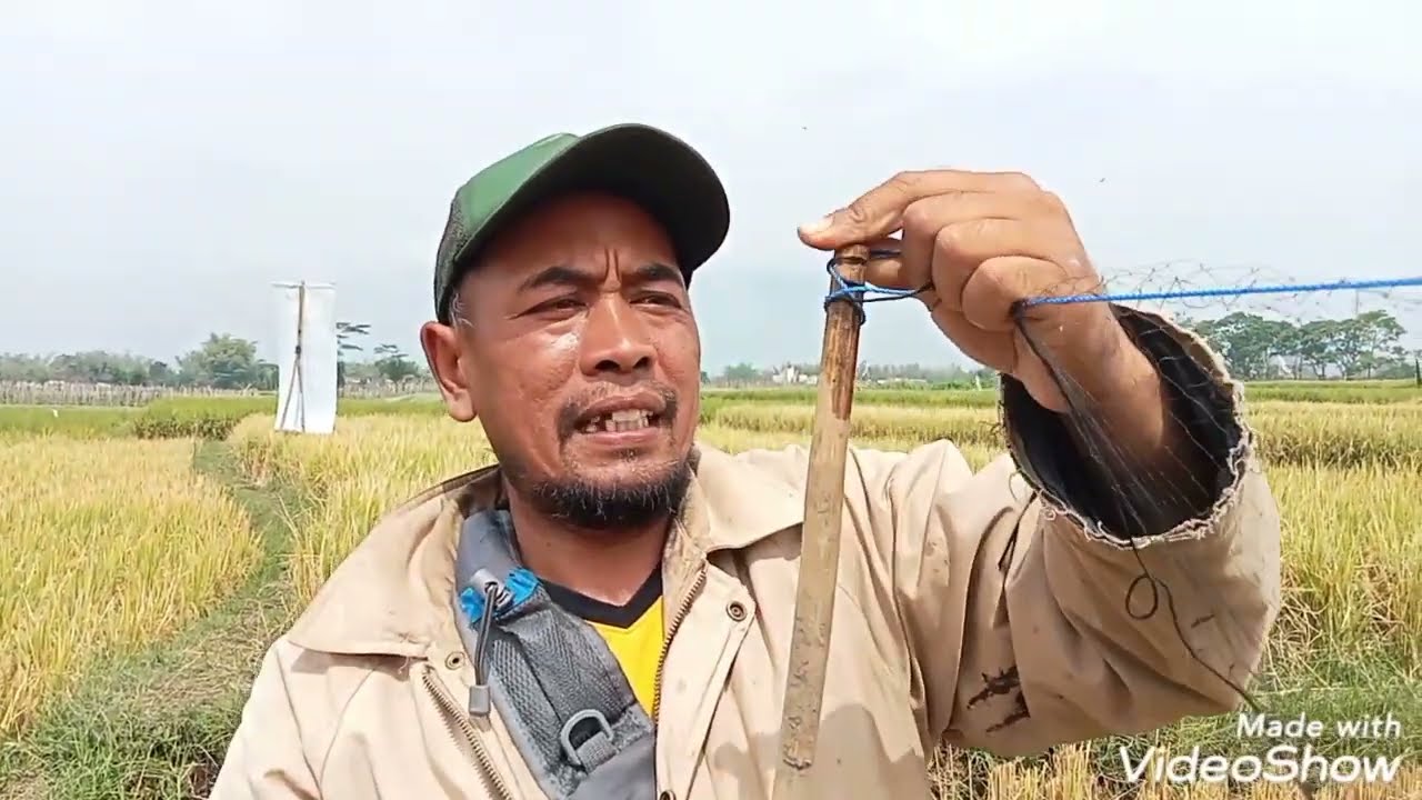 cara proses pemasangan jaring kupu tarung langsung di coba mantap