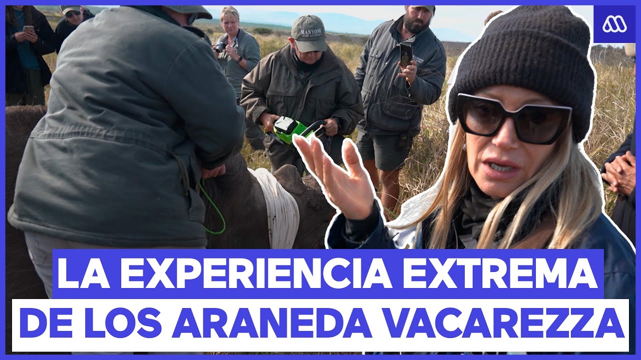 Los Araneda Vacarezza presenciaron el corte de cuerno de un rinoceronte | Vive Sud&aacute;frica