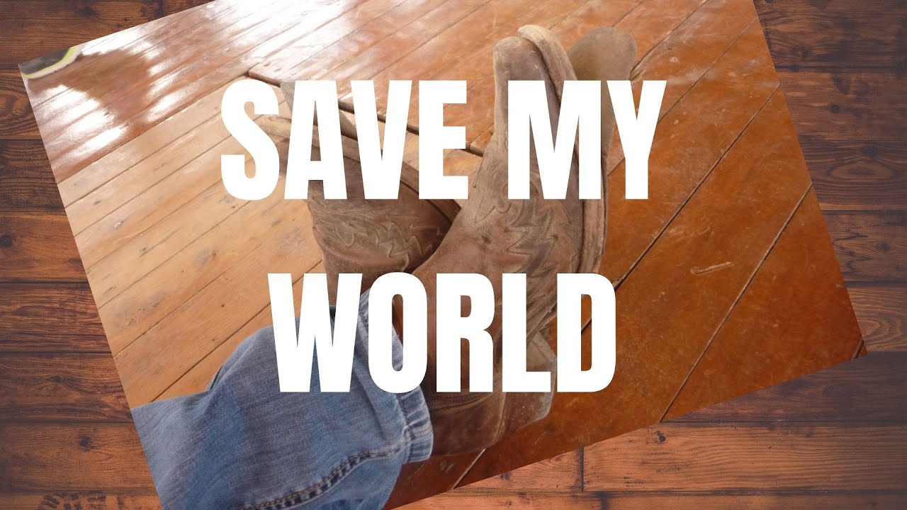 SAVE MY WORLD
