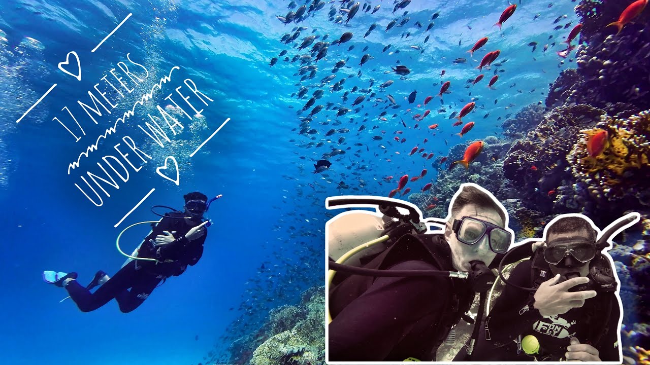 Let's dive in the SeaWorld of Hurghada | Egypt 2023