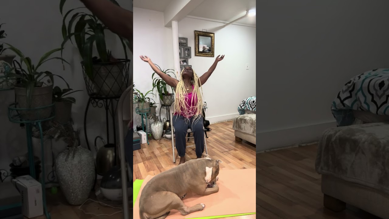 Follow Blue or follow me, either way you doing yoga 🤣💙💡