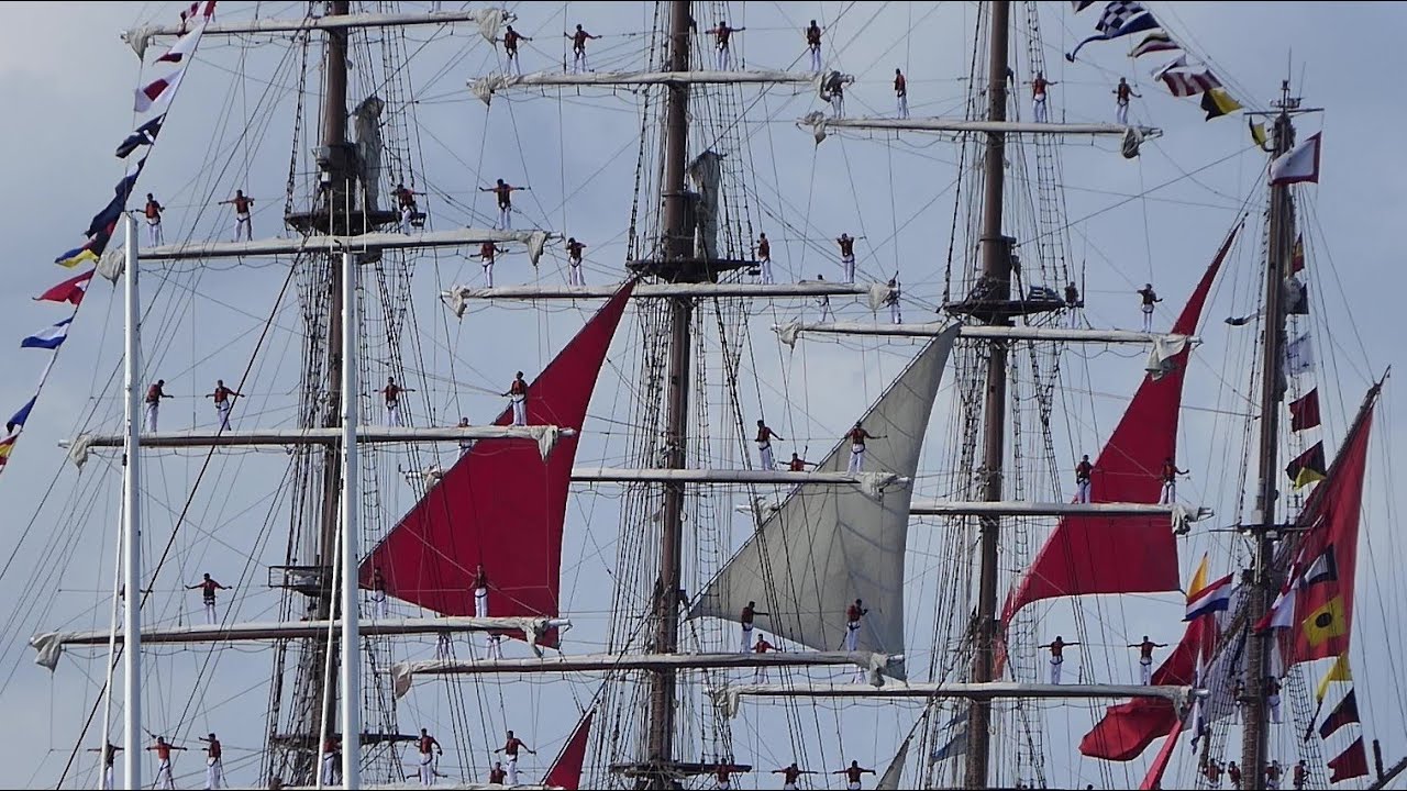 Sail In  Amsterdam 2025  x