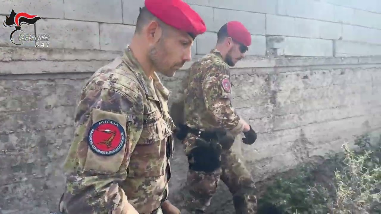 Una grande operazione dei Carabinieri sull'alta Murgia