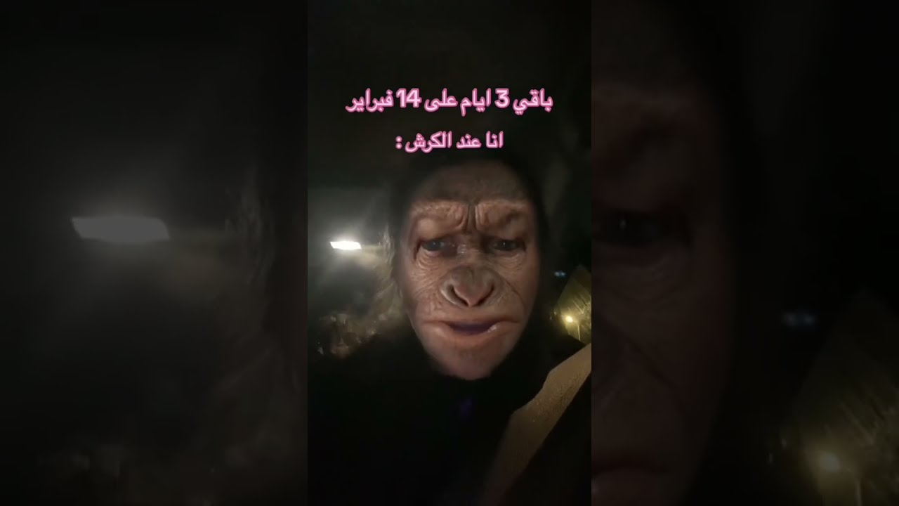 ذبات عيد الحب😂