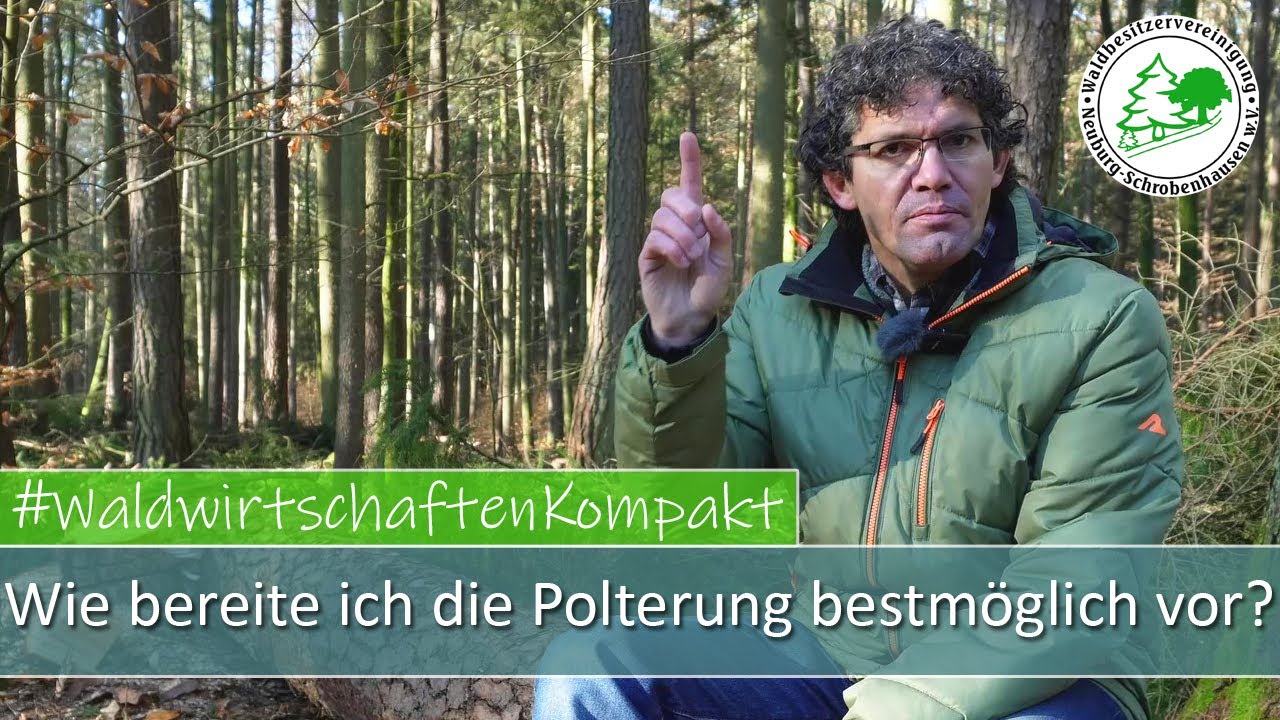 Wie bereite ich die Polterung bestmöglich vor? | Tipps und Strategien für erfolgreichen Holzverkauf