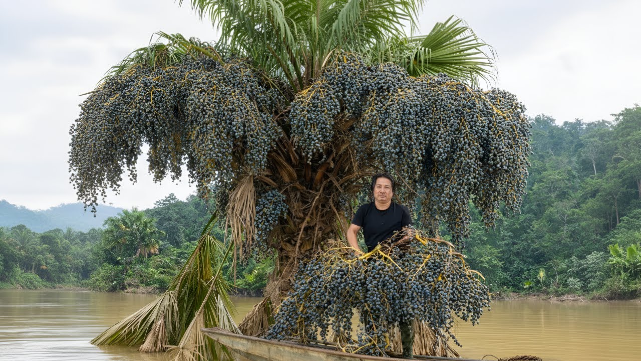 Life in the wilderness, foraging for natural food, fishing - Outdoor cooking, river survival