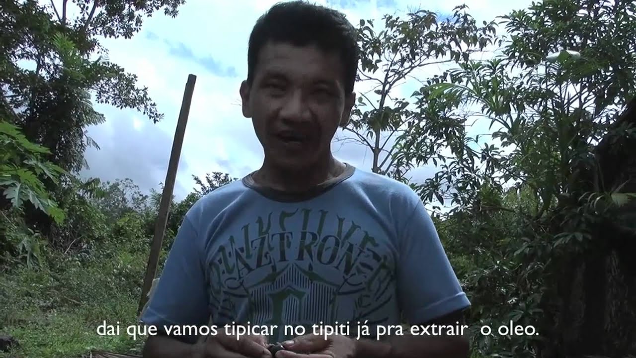 Extração de óleo de Patauá