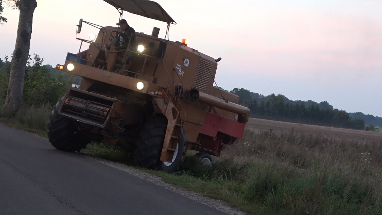Niesamowita szarża Bizona