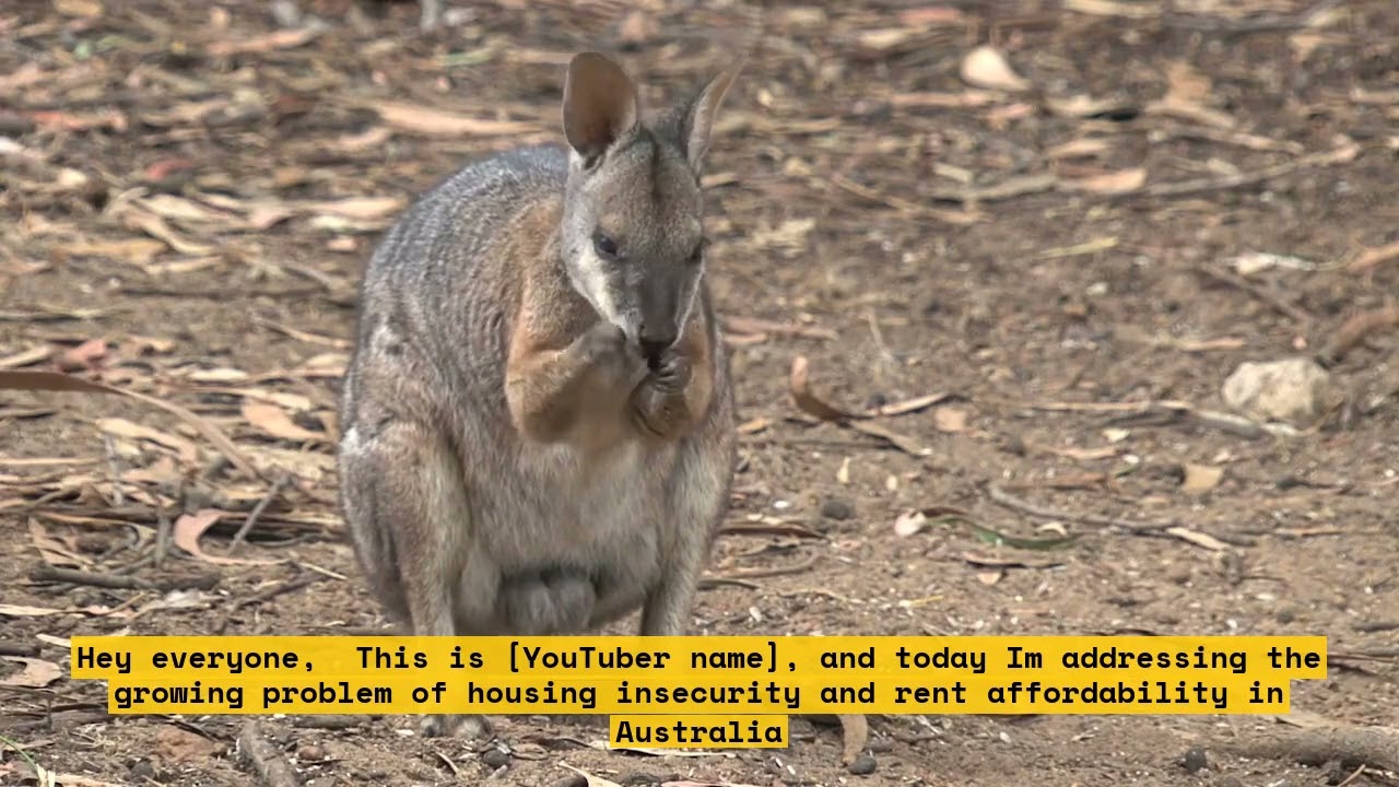 Anglicare: Commonwealth Rent Assistance Doesn't Curb Housing Affordability
