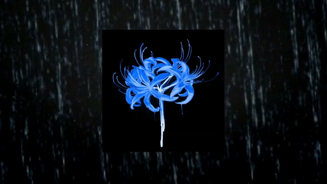 Drizzle Night