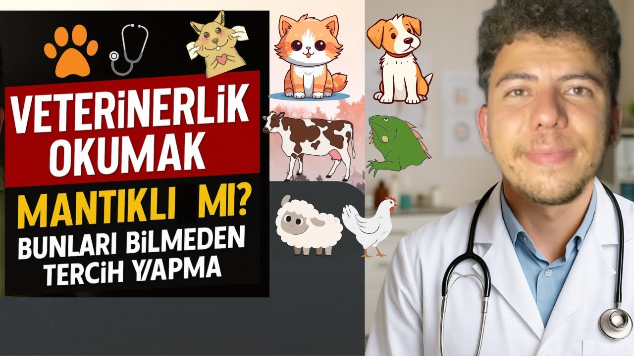 Veterinerlik Okumak Mantıklı Mı ? Bunları Bilmeden Tercih Yapma