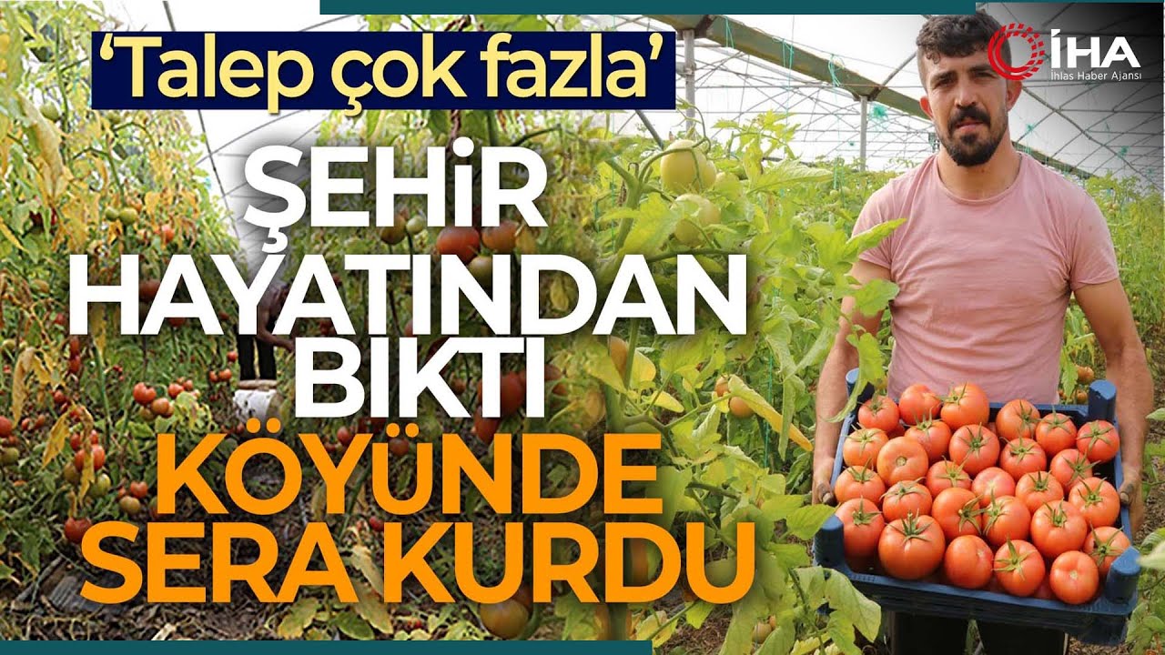 Şehir Hayatını Bırakıp Köyünde Sera Kurdu