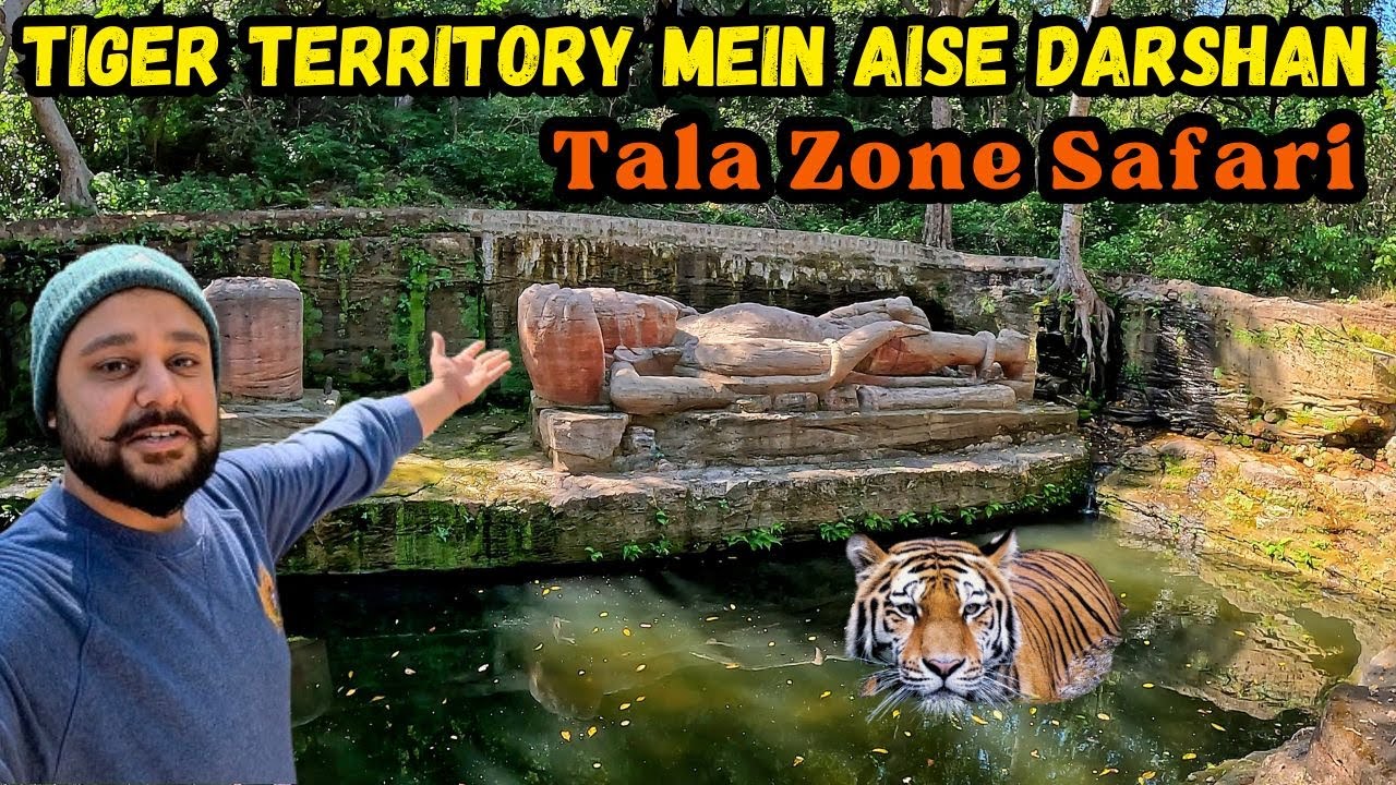 Bandhavgarh Core Zone mein utre tourists aur Tiger vahi tha | Shesh Shaiya | Tala Zone Safari