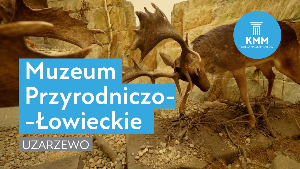 Muzeum Przyrodniczo-Łowieckie, Uzarzewo
