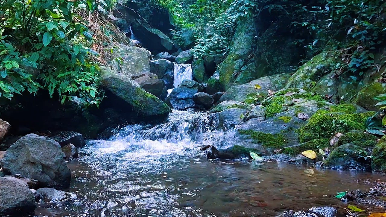 Soft River Sounds for Deep Night Calm