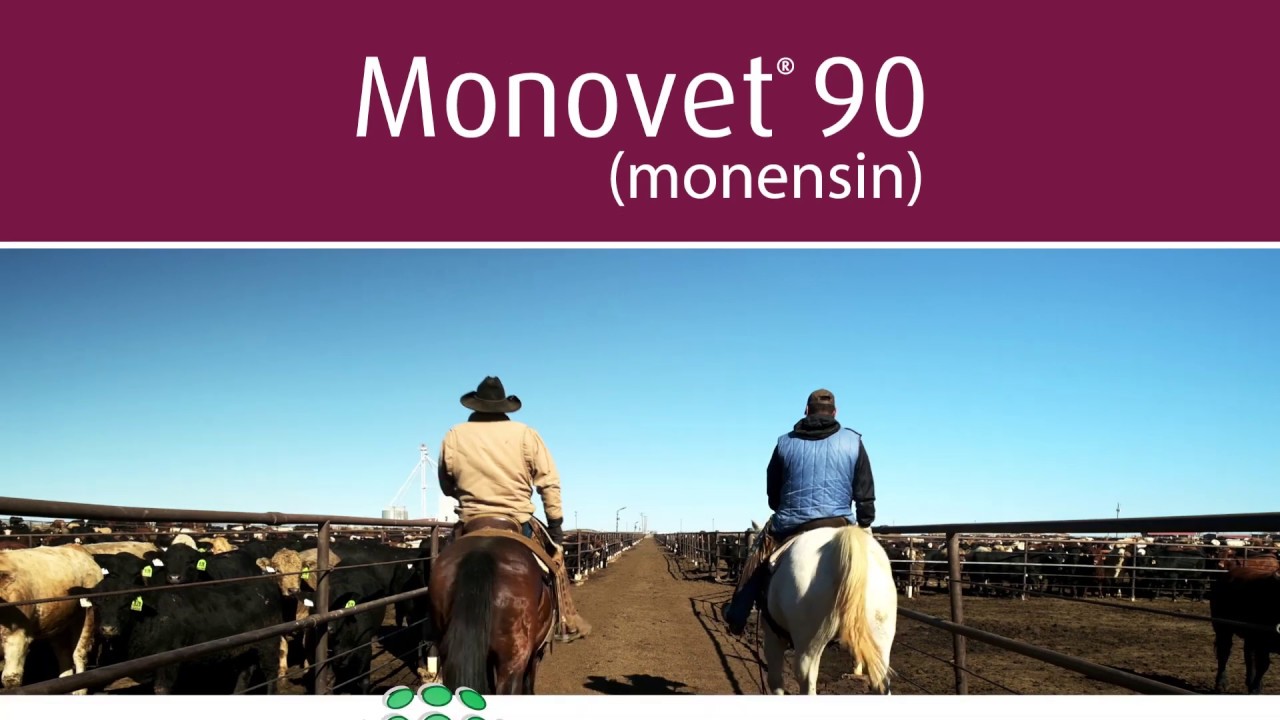 Monovet&reg;90 (monensin Type A Medicated Article)