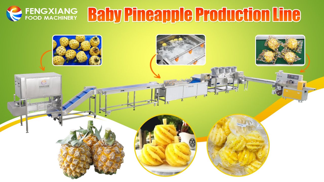 Thai Mini Pineapple Processing Line Pineapple Peeling Machine#peelingmachine #washingmachine