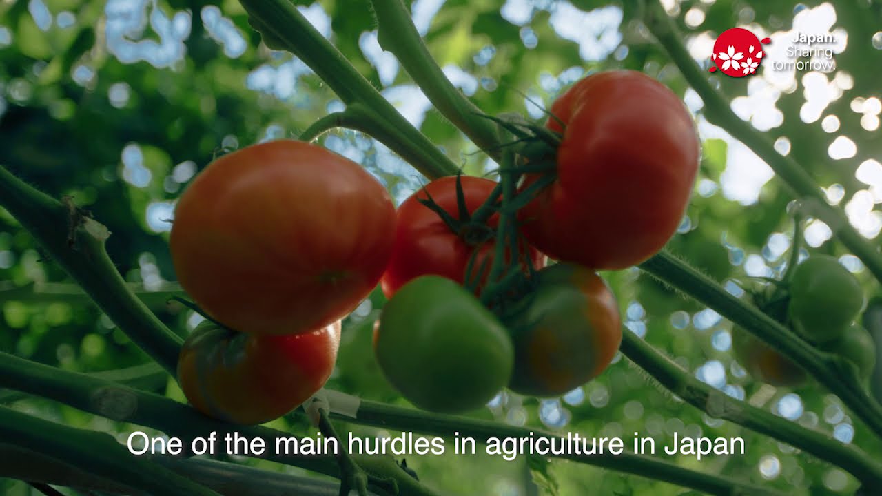 Innovation Japan: Technology transforms Japan’s agriculture