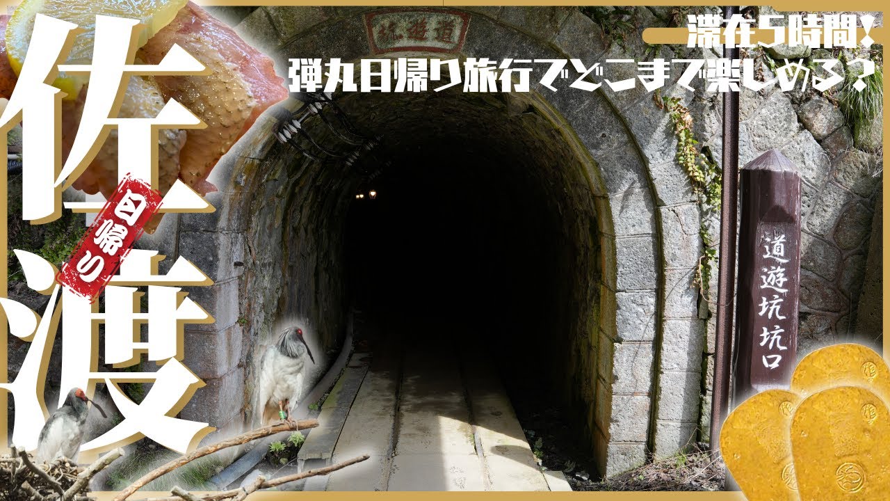 【佐渡島】滞在5時間！弾丸日帰り旅行でどこまで楽しめる？