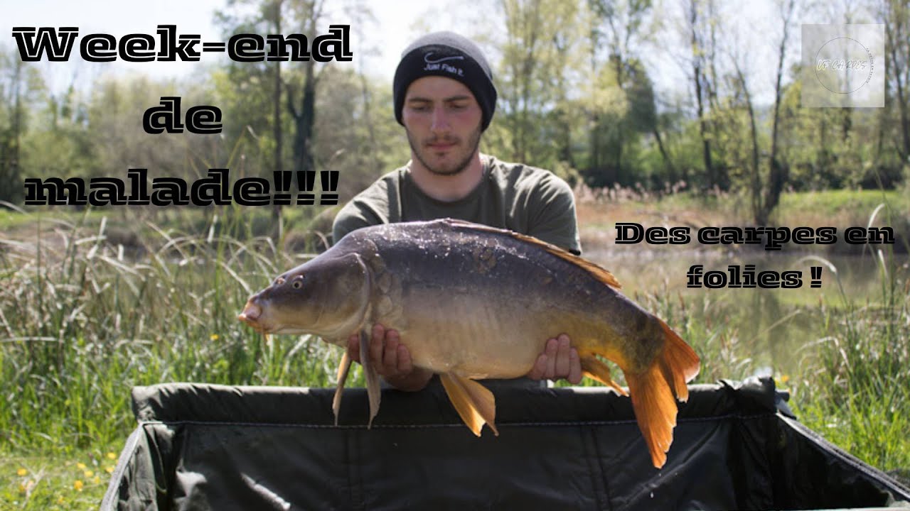 On enchaine les DEPARTS !!!! ( Pêche à la carpe )