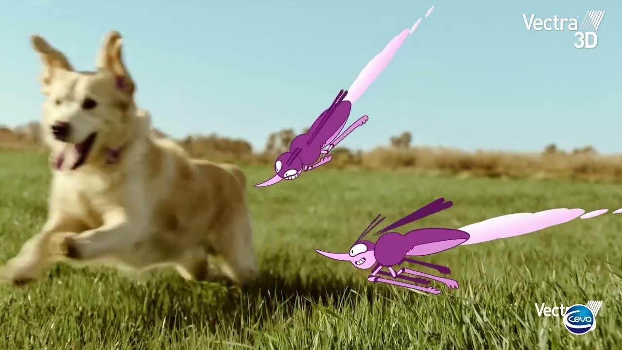 Découvrez Vectra 3D : pipette antiparasitaire pour chien