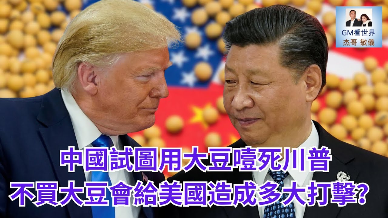 【GM看世界】中國試圖用大豆噎死川普不買大豆會給美國造成多大打擊？｜ 川普｜習近平｜大豆｜食用油｜巴西｜20251015
