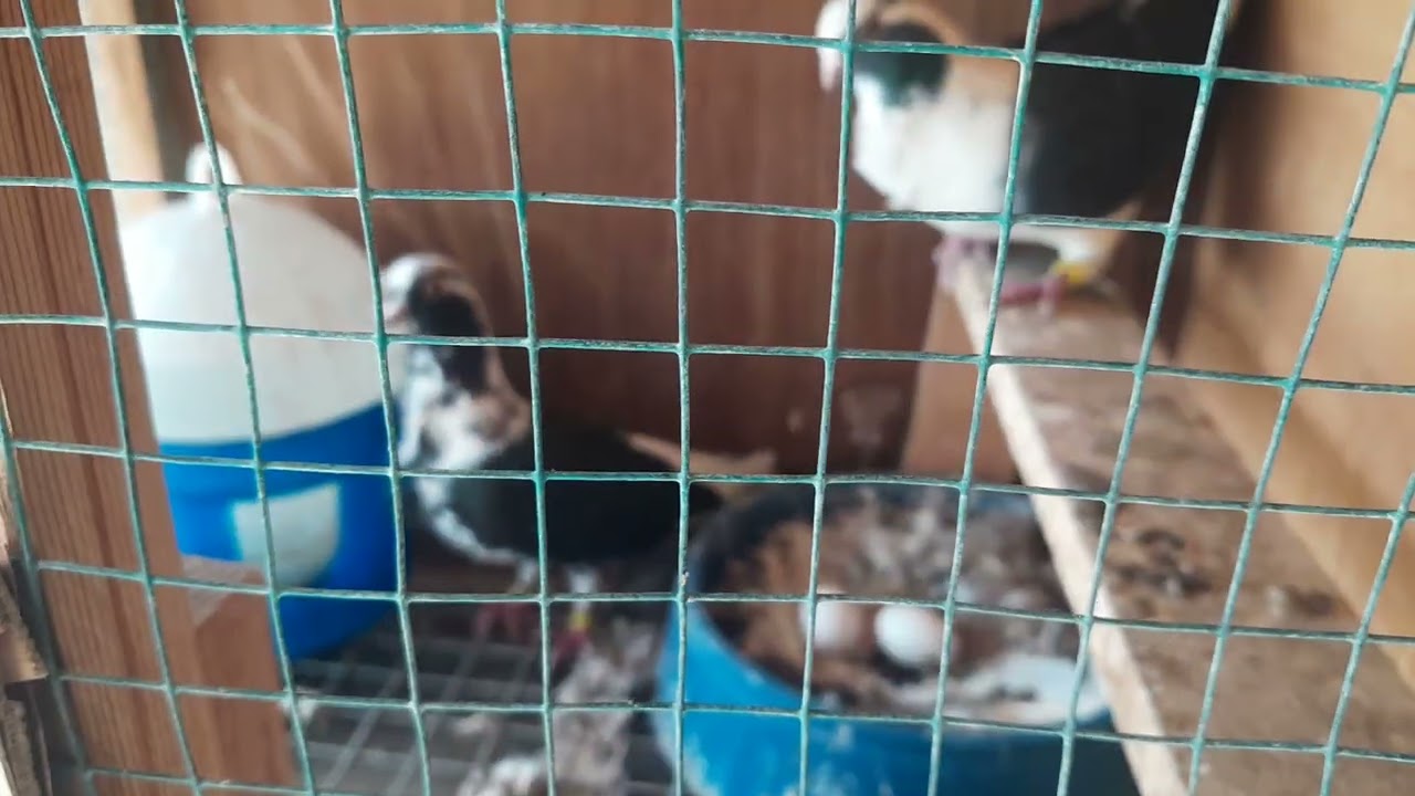 من بعد انقطاع رجعنه 💔