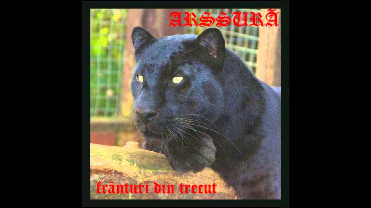 Arssura feat. Scanteie (Ad Litteram) - Materialista (2004)